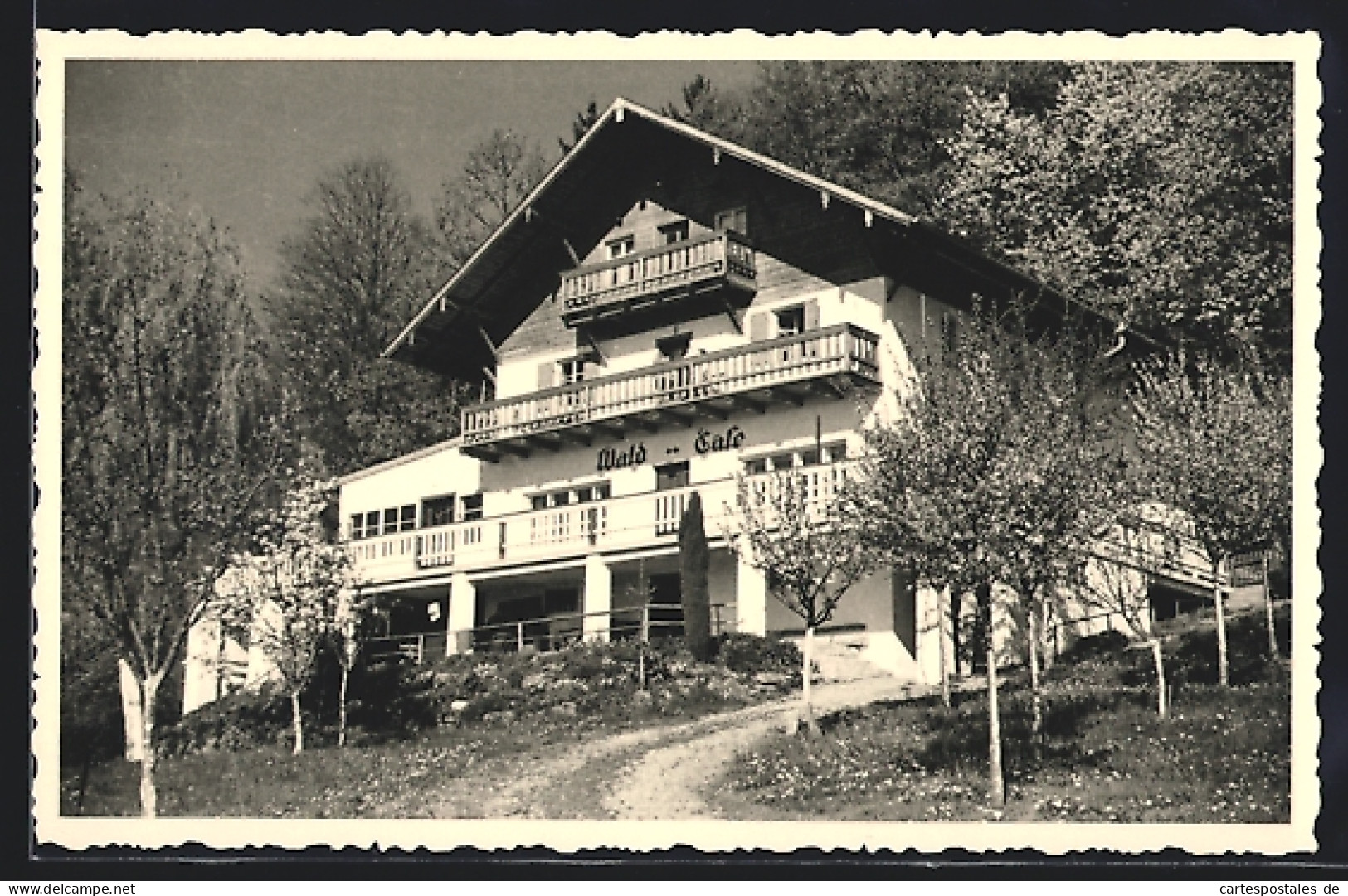 AK Simbach /Inn, Das Wald-Café  - Simbach