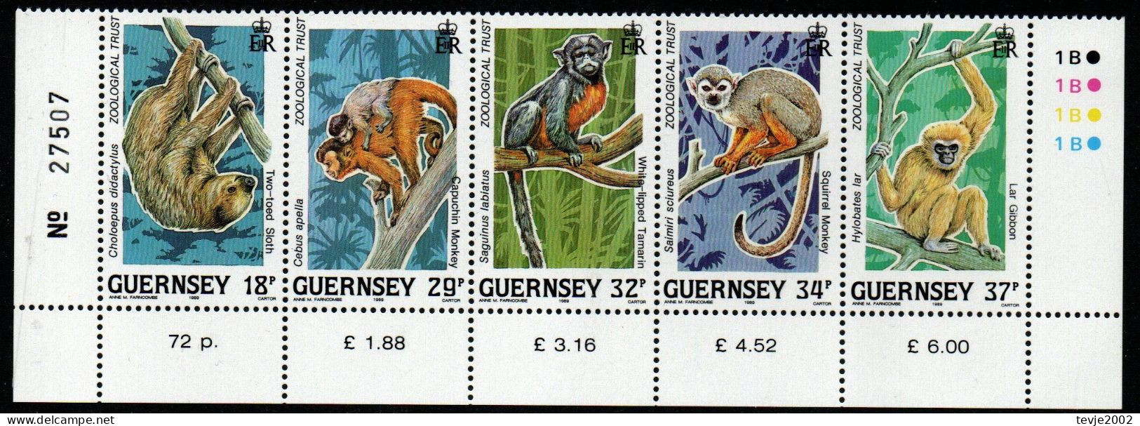 Guernsey 1989 - Mi.Nr. 465 - 469 - Postfrisch MNH - Tiere Animals Affen Monkeys - Monkeys