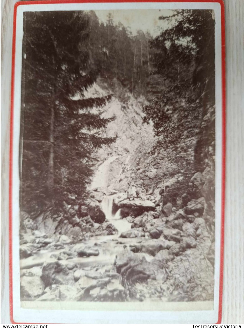 Photographie Ancienne 13/18cm - Chute D'eau Au Milieu Des Sapins - Europa