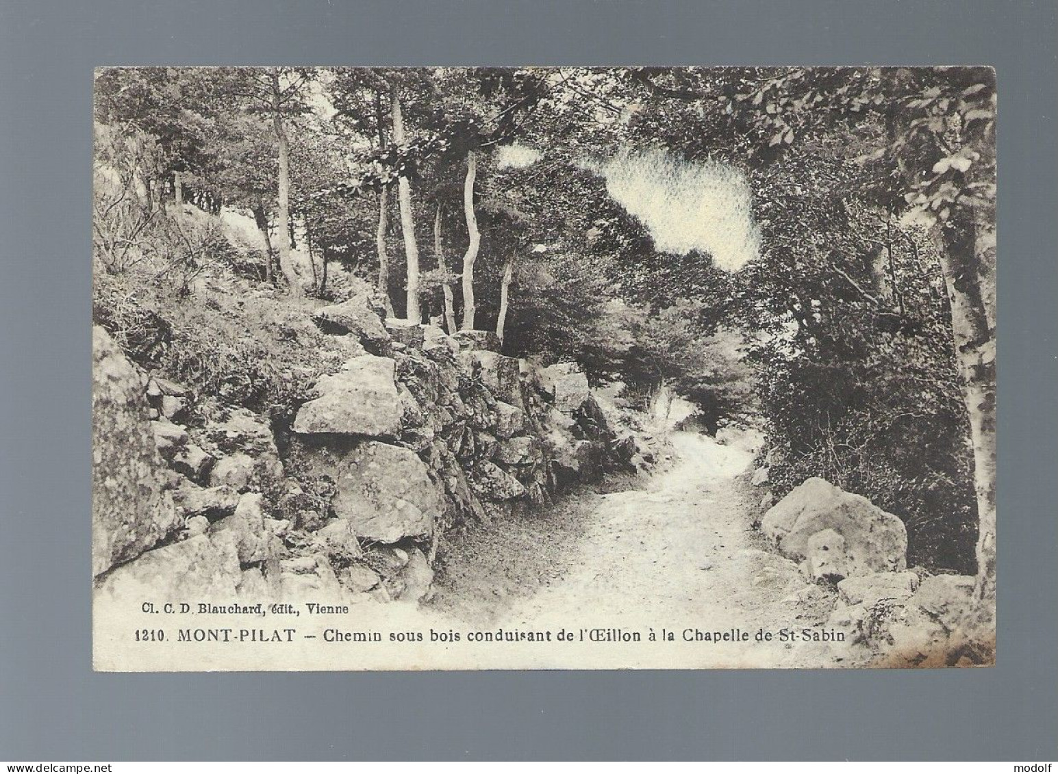 CPA - 42 - Mont-Pilat - Chemin Sous Bois Conduisant De L'Oeillon à La Chapelle De St-Sabin - Circulée En 1921 - Mont Pilat