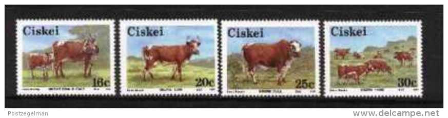 CISKEI, 1987, MNH Stamp(s), Nkone Cattle,  Nr(s). 115-118 - Ciskei