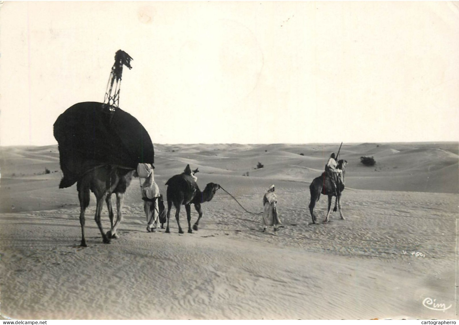 Caravane D'Afrique Scenes Et Types - Afrika