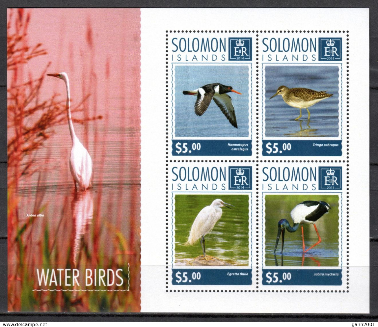 Solomon 2014 Salomón / Birds MNH Vögel Aves Uccelli Oiseaux / Cu22377  3-23 - Autres & Non Classés