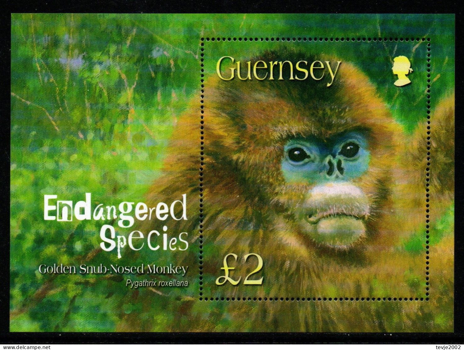 Guernsey 2004 - Mi.Nr. Block 36 - Postfrisch MNH - Tiere Animals Affen Monkeys - Singes