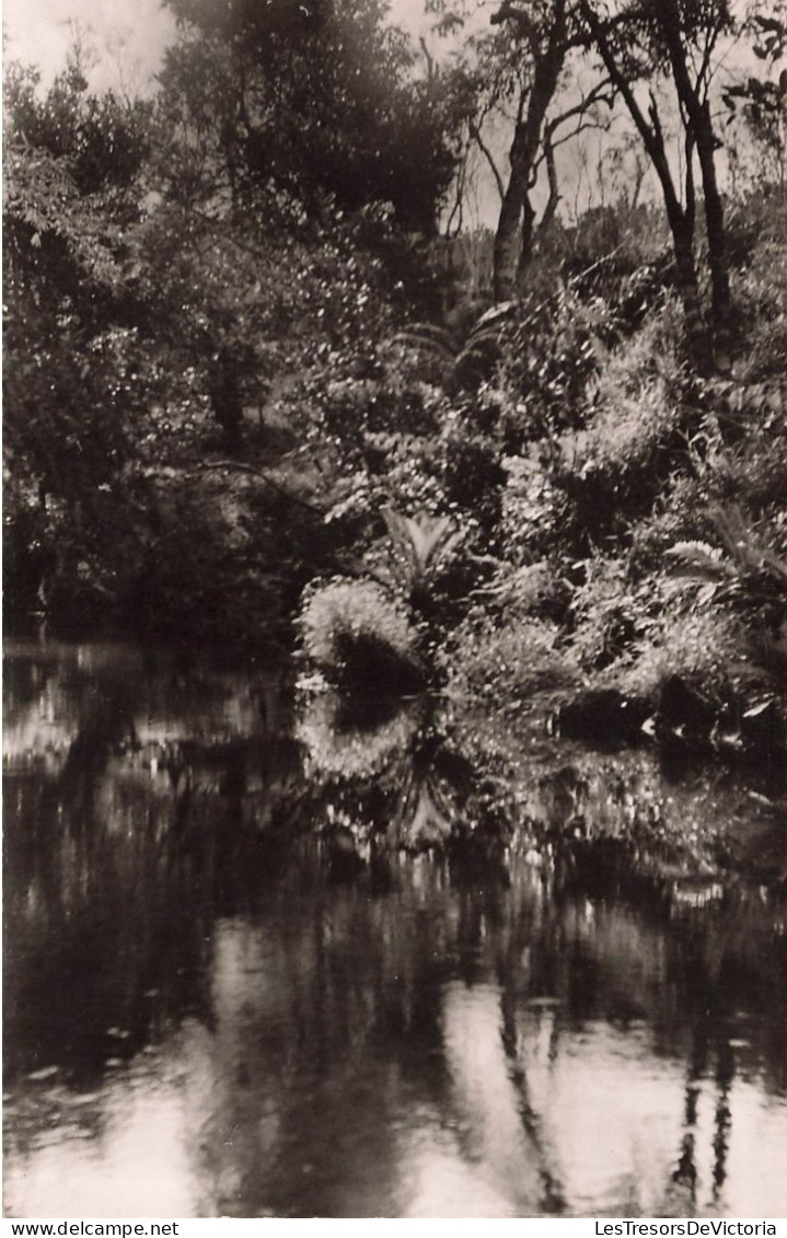 FRANCE - Nouvelle Calédonie - Vue Sur Un Coin De Rivière Dans La Chaîne - La Forêt - Carte Postale Ancienne - Nouvelle Calédonie