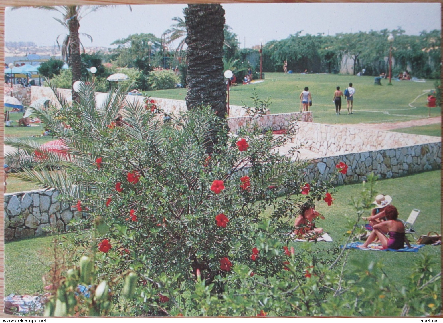 ISRAEL TOWN HALL HOLON SPORTS CENTER MUNICIPALITY CARD CARTOLINA POSTKARTE CARTE POSTALE POSTCARD ANSICHTSKARTE - Hotelaufkleber