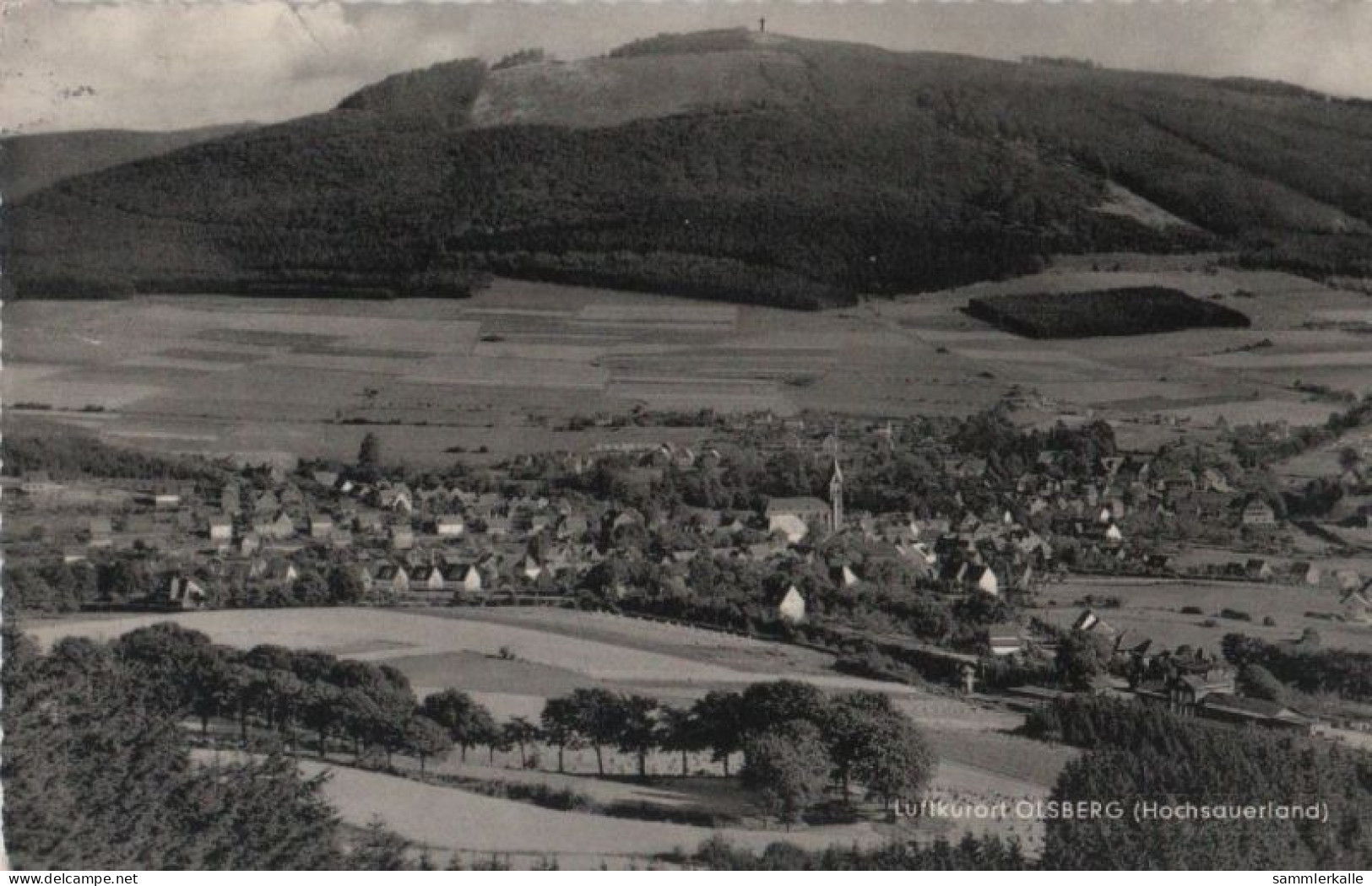 59565 - Olsberg - 1960 - Meschede