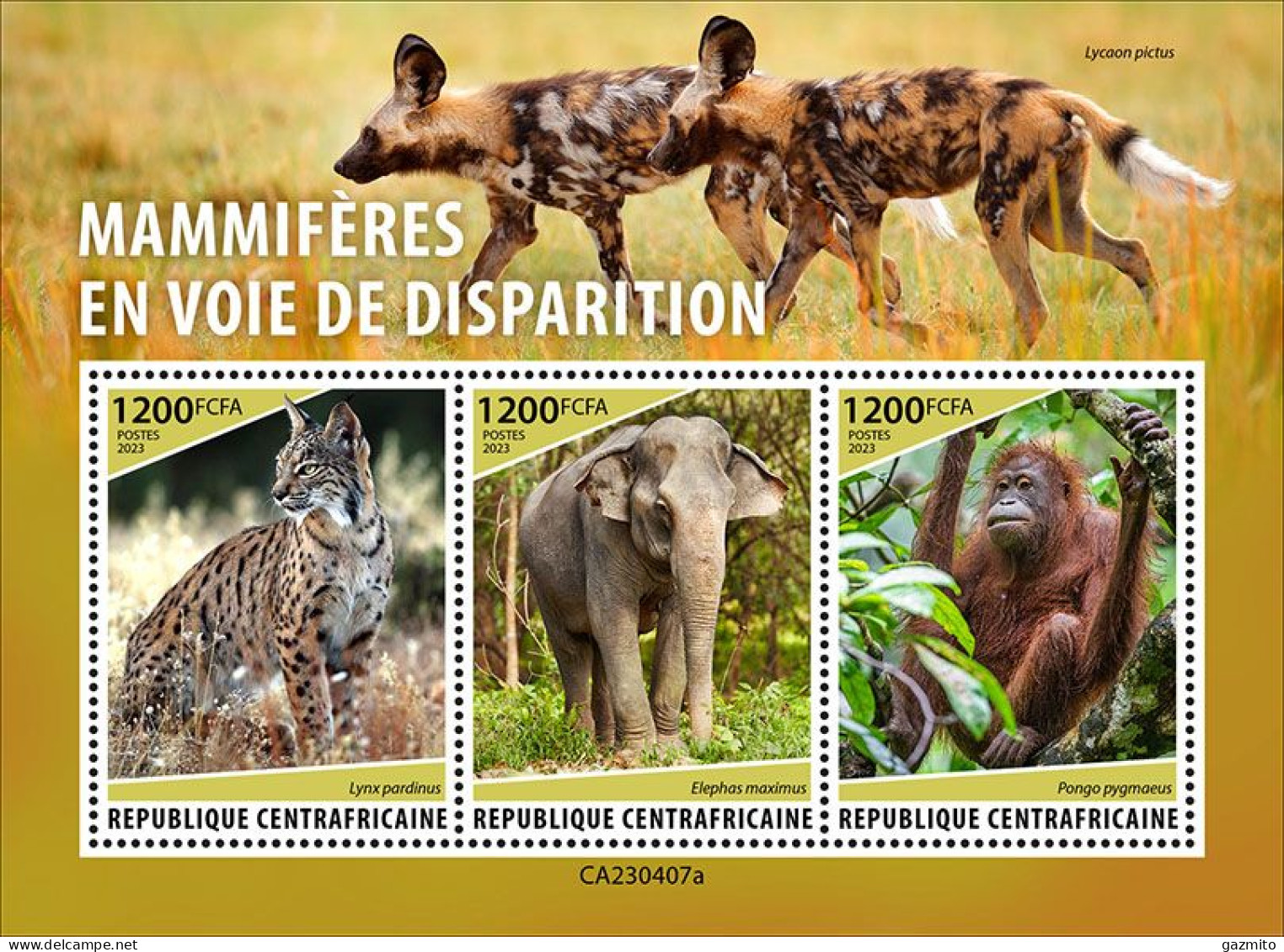 Centrafrica 2023, Animal In Danger, Elephant, Gorilla, 3val In BF - Elephants