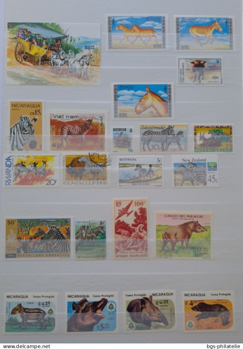 Collection De Timbres Sur Le Thème Des Animaux. - Verzamelingen (zonder Album)