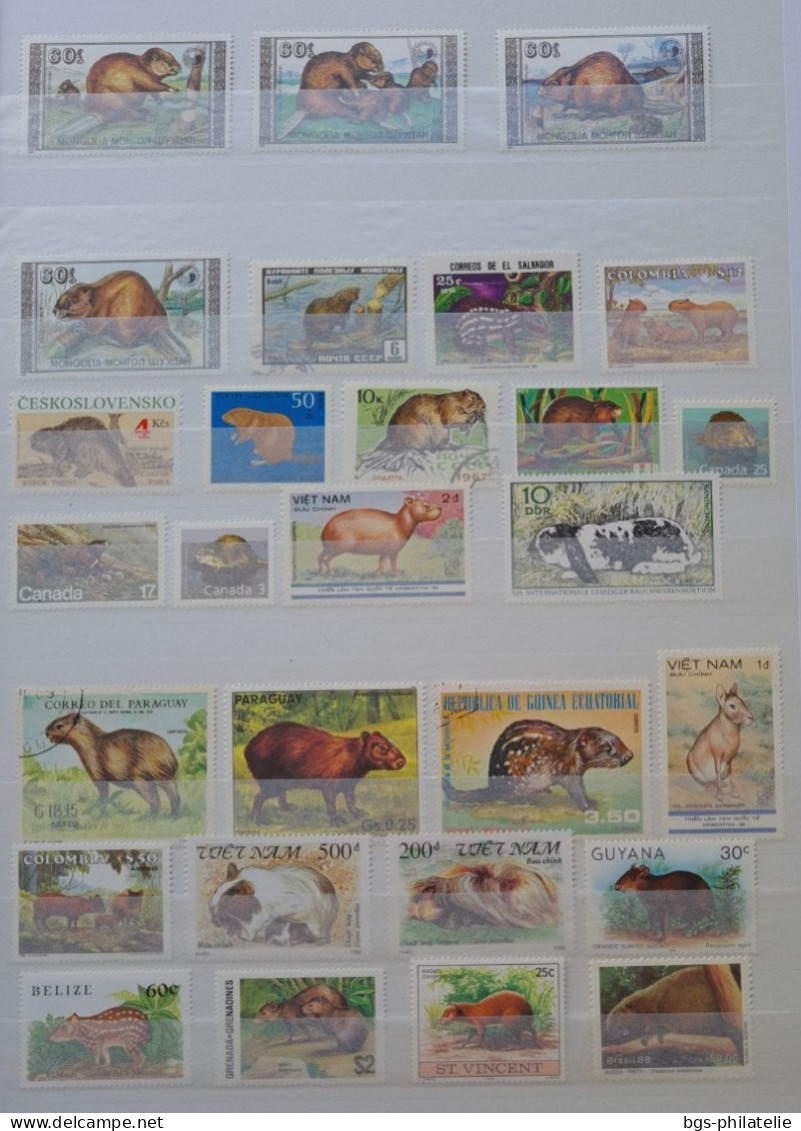 Collection de timbres sur le thème des Animaux.