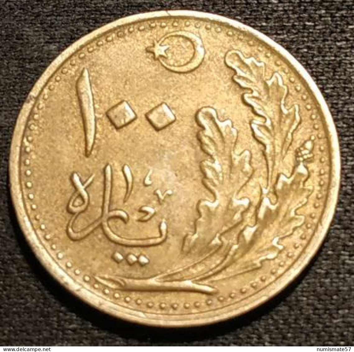 RARE - TURQUIE - TURKEY - 100 PARA 1925 ( 1341 ) - KM 830 - Türkei