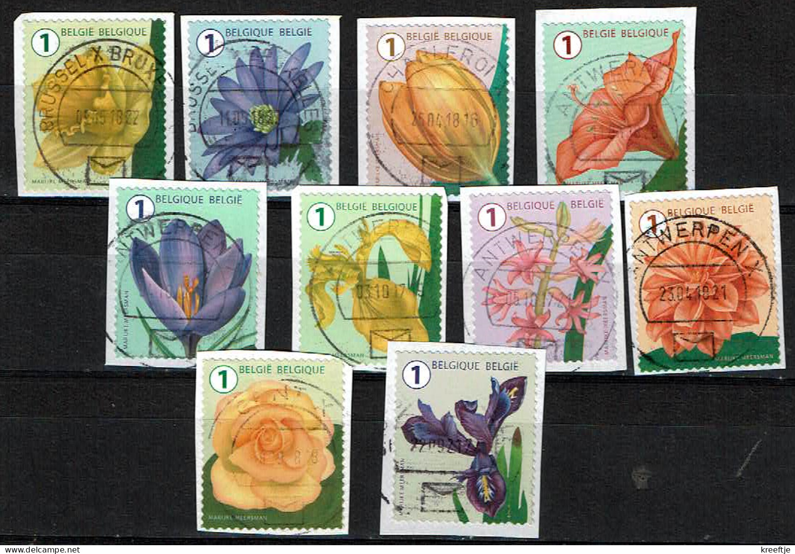 Série Complète Fleurs 2016 / Volledige Serie Bloemen 2016 (OBP 4653 T/m 4662 ) (03) - Used Stamps