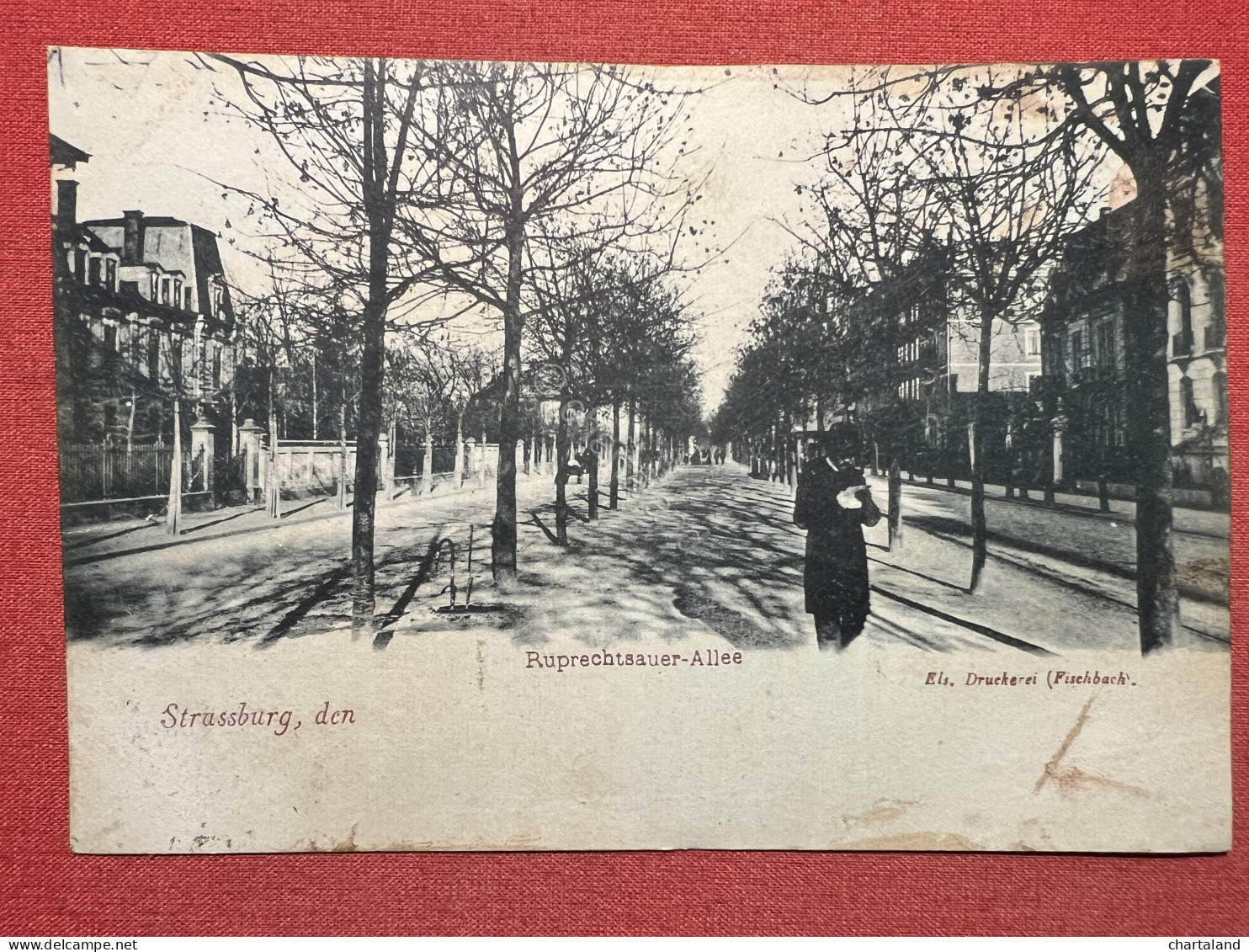 Cartolina - Strasbourg - Rupprecht Sauer-Allée - 1900 Ca. - Non Classés