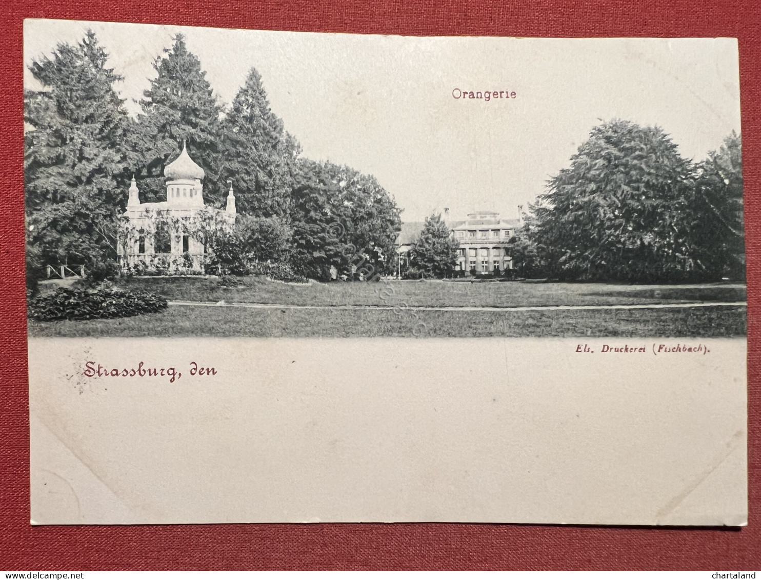 Cartolina - Strasbourg - Orangerie - 1900 Ca. - Non Classés