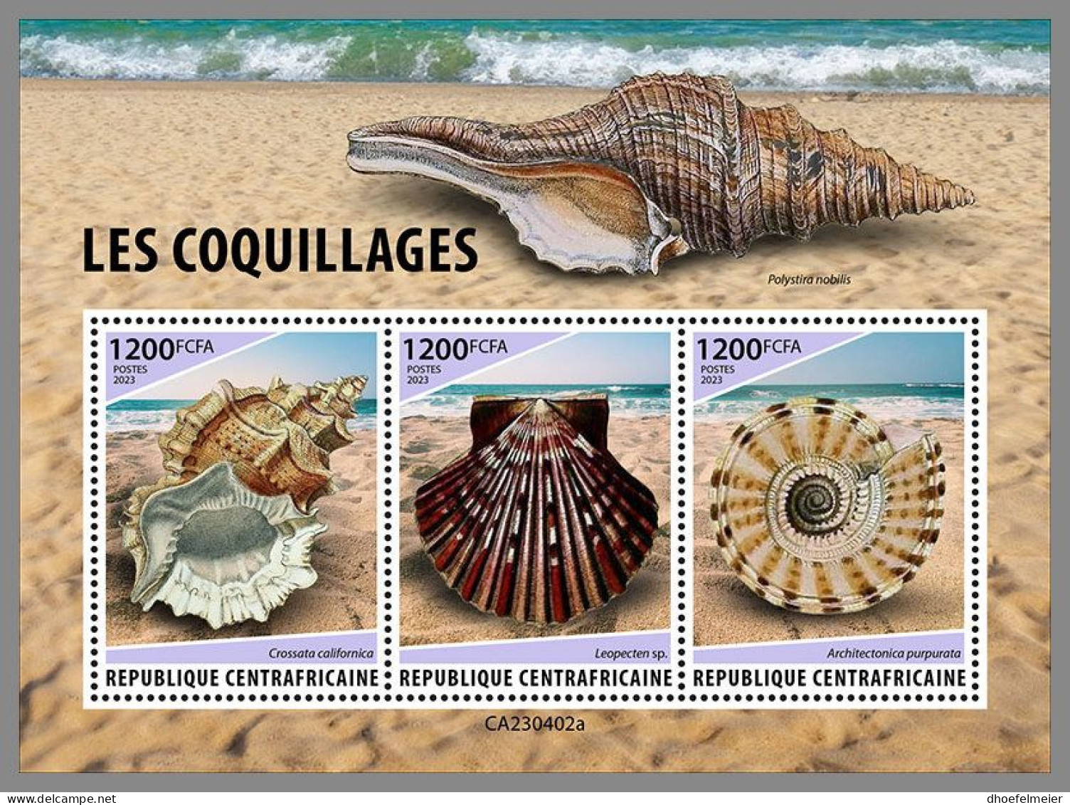 CENTRAL AFRICAN 2023 MNH Shells Muscheln M/S – IMPERFORATED – DHQ2415 - Coneshells