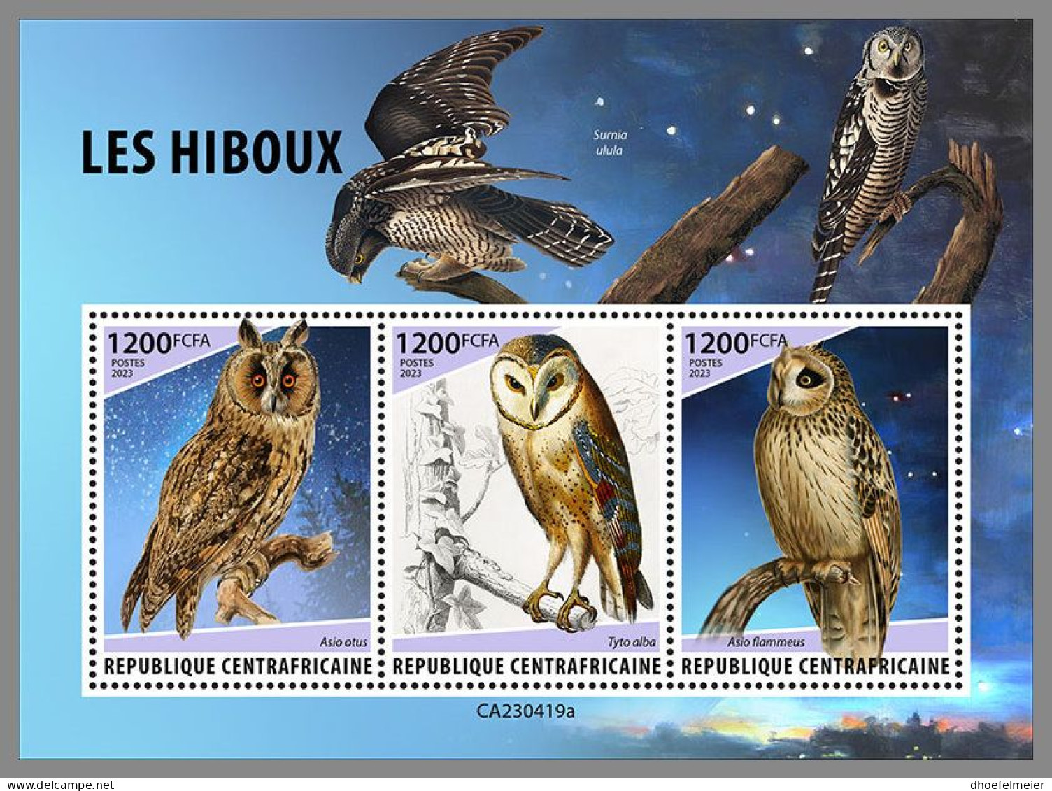 CENTRAL AFRICAN 2023 MNH Owls Eulen M/S – OFFICIAL ISSUE – DHQ2415 - Owls