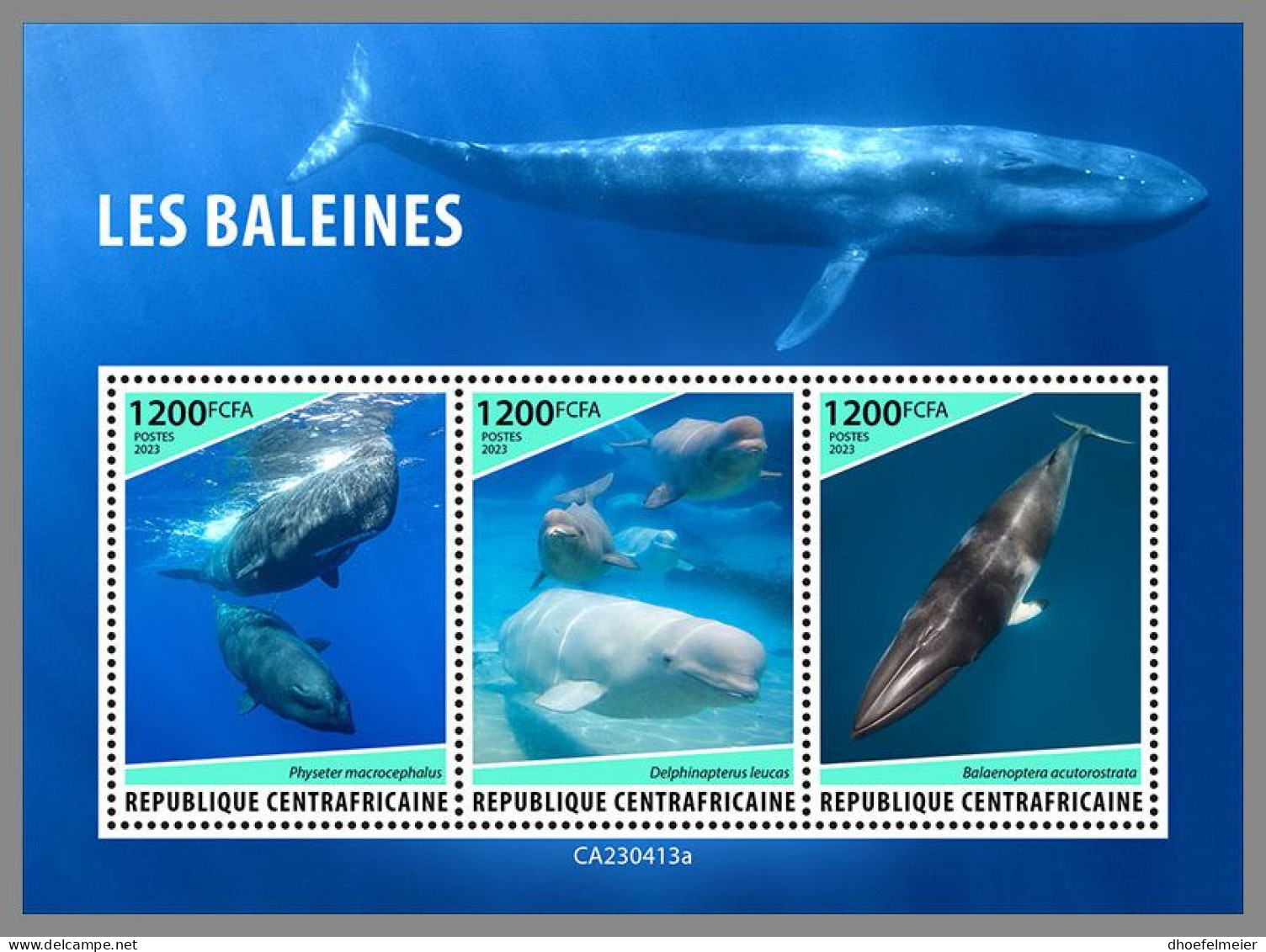 CENTRAL AFRICAN 2023 MNH Whales Wale M/S – OFFICIAL ISSUE – DHQ2415 - Walvissen