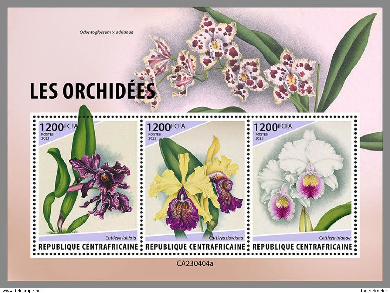 CENTRAL AFRICAN 2023 MNH Orchids Orchideen M/S – OFFICIAL ISSUE – DHQ2415 - Orchids