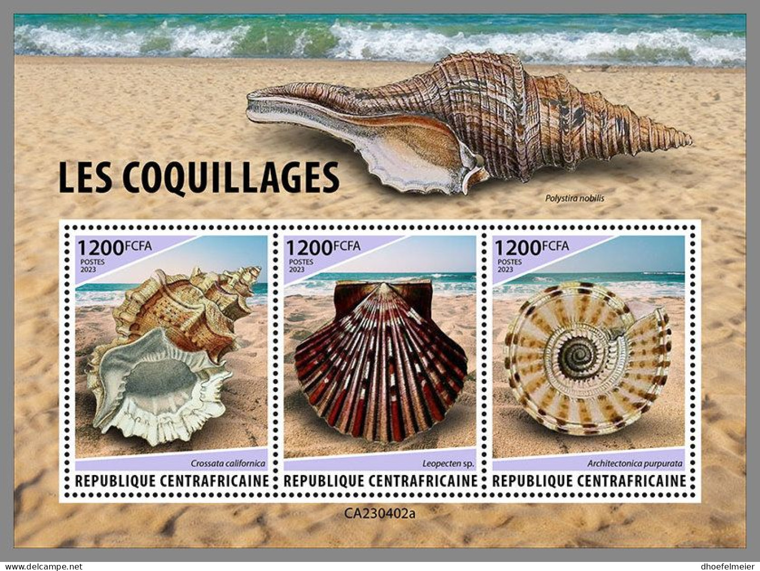 CENTRAL AFRICAN 2023 MNH Shells Muscheln M/S – OFFICIAL ISSUE – DHQ2415 - Coneshells