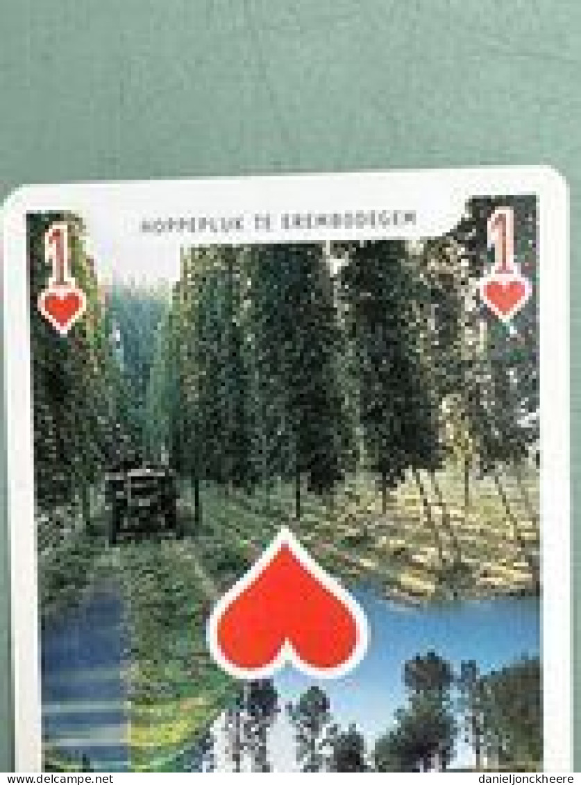 Safir Speelkaart Playing Card De Dender Te Pollaere  Hoppepluk Te Erembodegem - Playing Cards (classic)