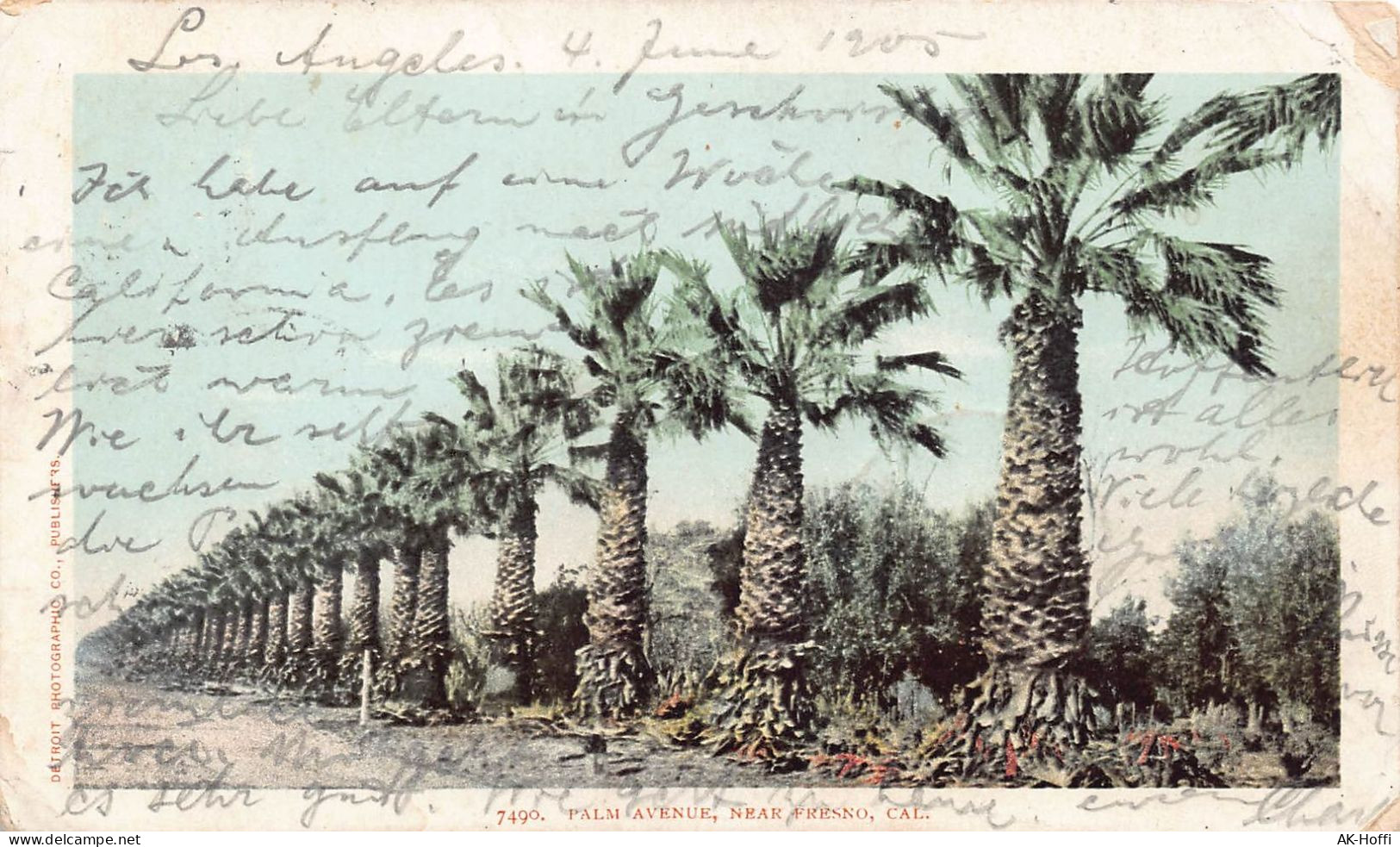 PALM AVENUE, NEAR FRESNO, CAL. Gelaufen 1905 - Fresno