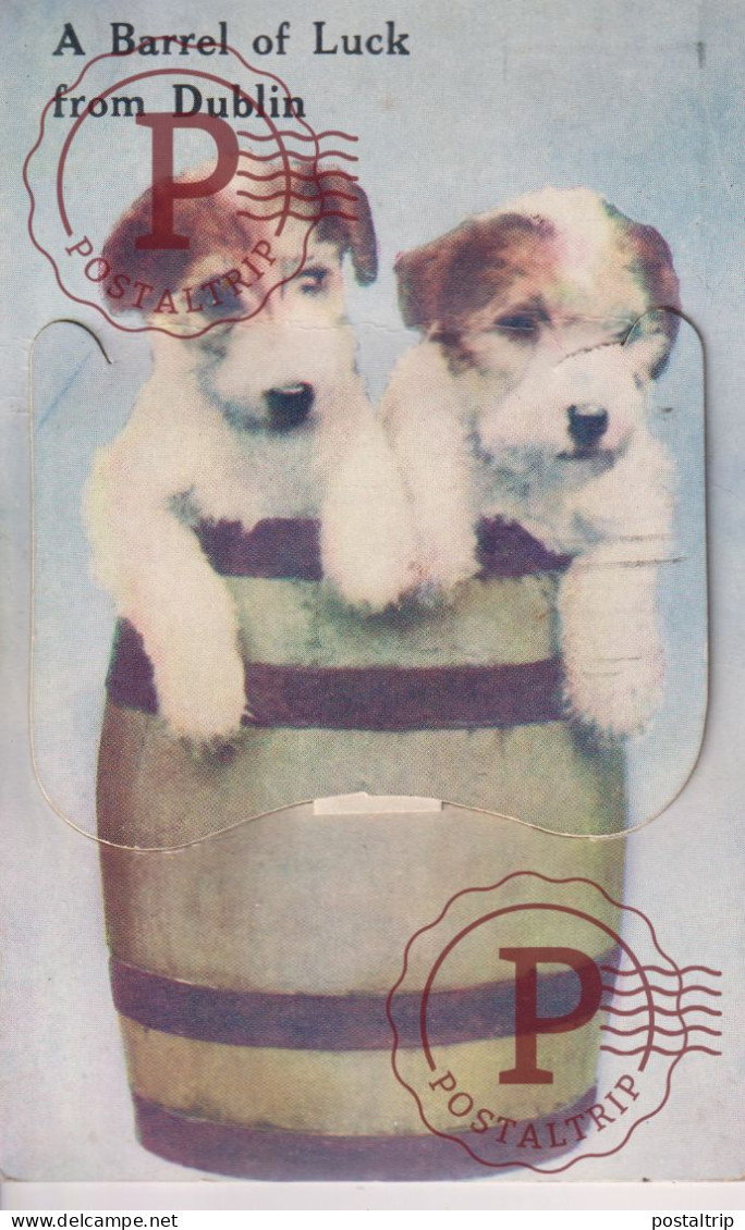 IRLANDA. A BARREL OF LUCK FROM DUBLIN. SYSTEME PERROS. DOGS. FANTASIA. FANTASIE. SEE SCAN. - Dublin