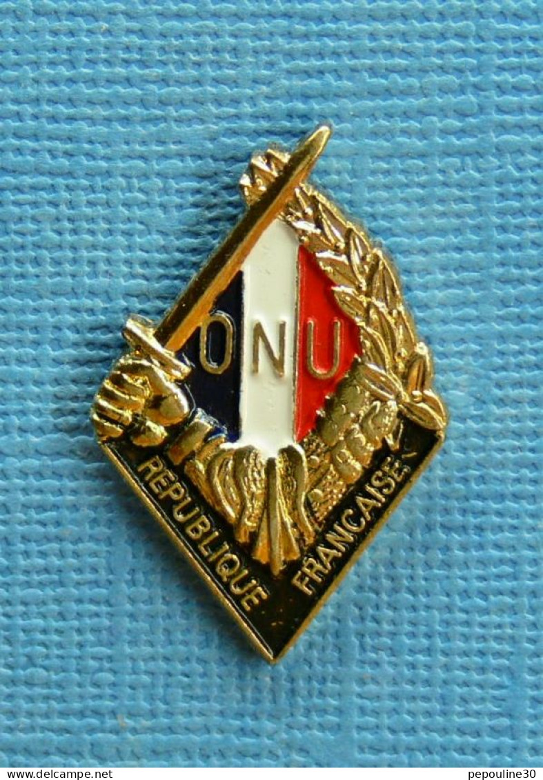 1 PIN'S /  ** INSIGNE DU BATAILLON FRANÇAIS DE L'ONU / RÉPUBLIQUE FRANÇAISE ** - Armee