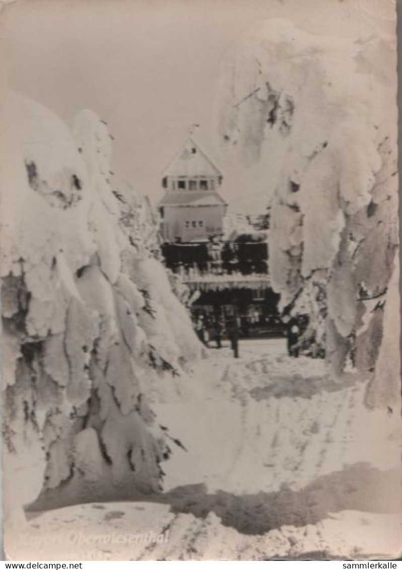 51106 - Oberwiesenthal - Fichtelberghaus - 1959 - Oberwiesenthal