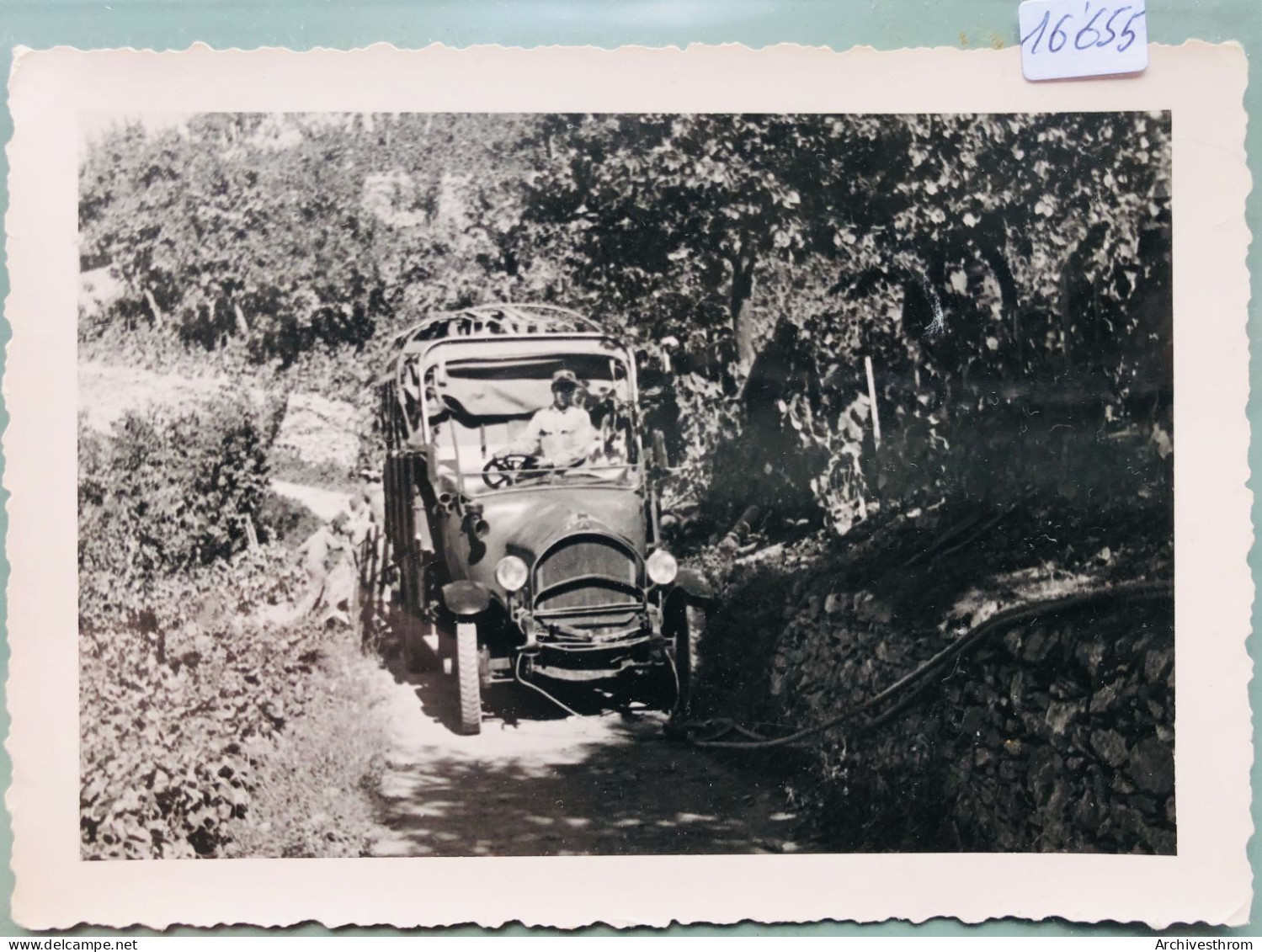 Montricher ; Dans Des Vignes En 1942 - Le Camion Tiré D'affaire (16'655) - Montricher