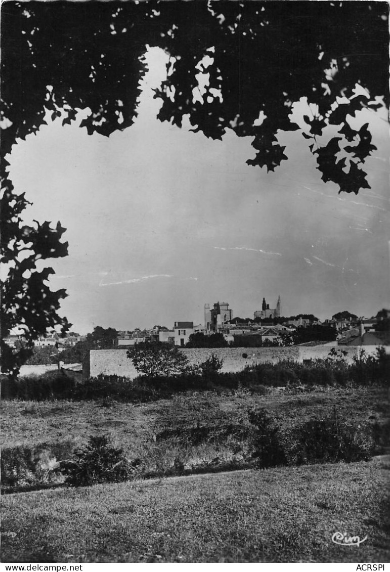 17  SAINT MARTIN DE Ré  Vue D'ensemble  125  (scan Recto Verso)KEVREN0754 - Saint-Martin-de-Ré