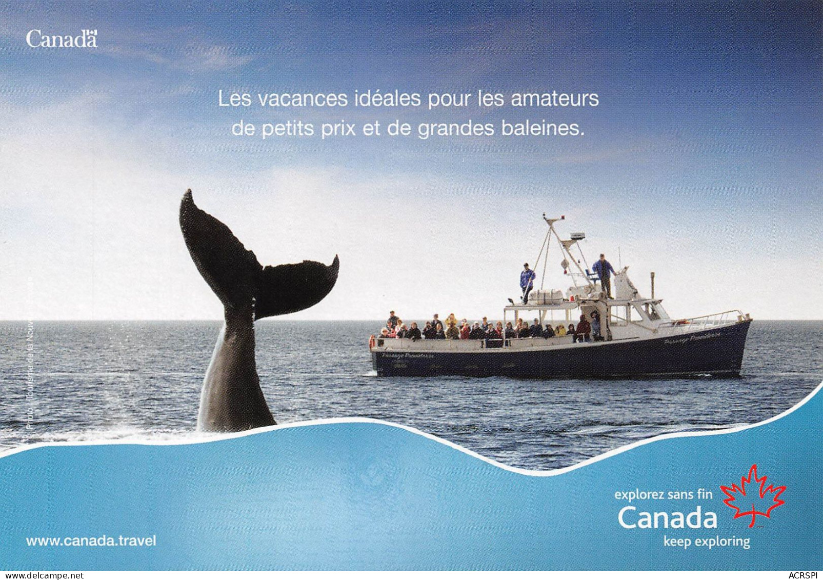 CANADA Voyages TRANSAT Grandes Baleines  Octobre 2010  Ma Cabane Merveilles De L'ouest  85 (scan Recto Verso)KEVREN0768 - Modern Cards