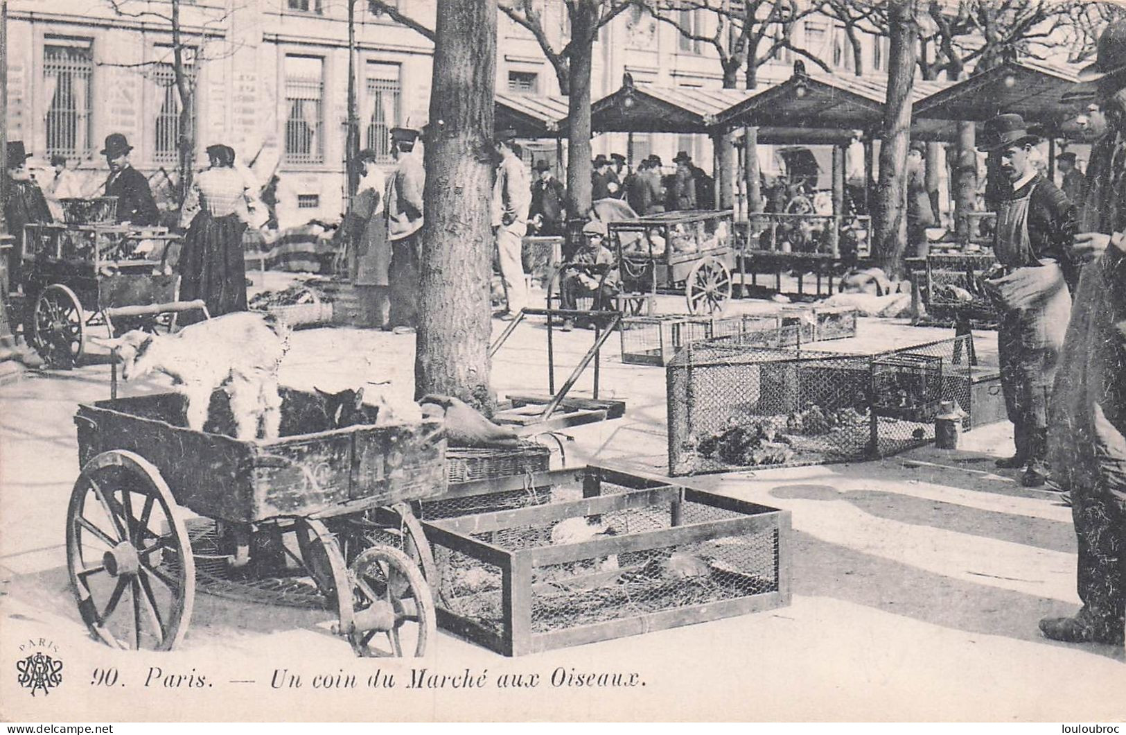 PARIS UN COIN DU MARCHE AUX OISEAUX - Petits Métiers à Paris