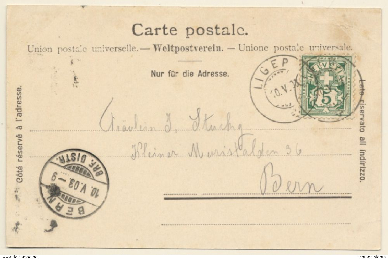 St. Petersinsel - Ille De Saint Pierre / Switzerland: Hotellerie - Hotel (Vintage PC 1903) - Cerlier