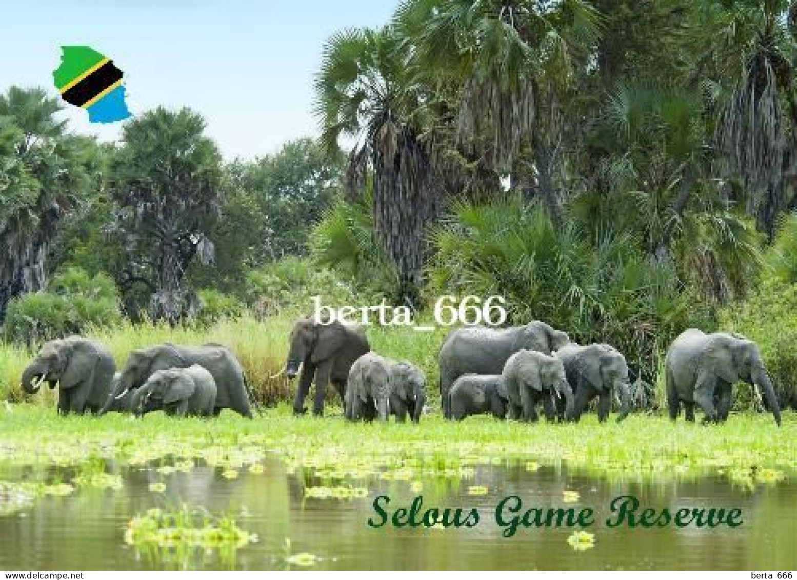 Tanzania Selous Game Reserve UNESCO Elephants New Postcard - Tanzania