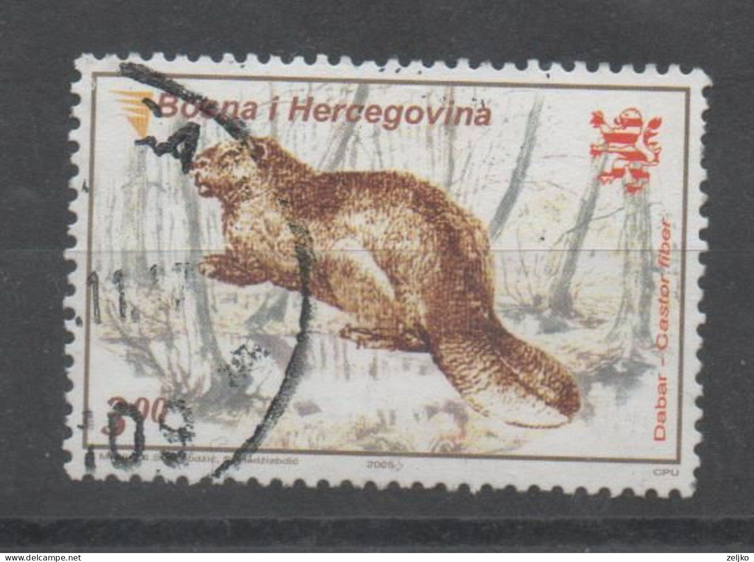 Bosnia And Herzegovina, Sarajevo 2005, Used, Michel 388, Fauna Beaver - Bosnien-Herzegowina