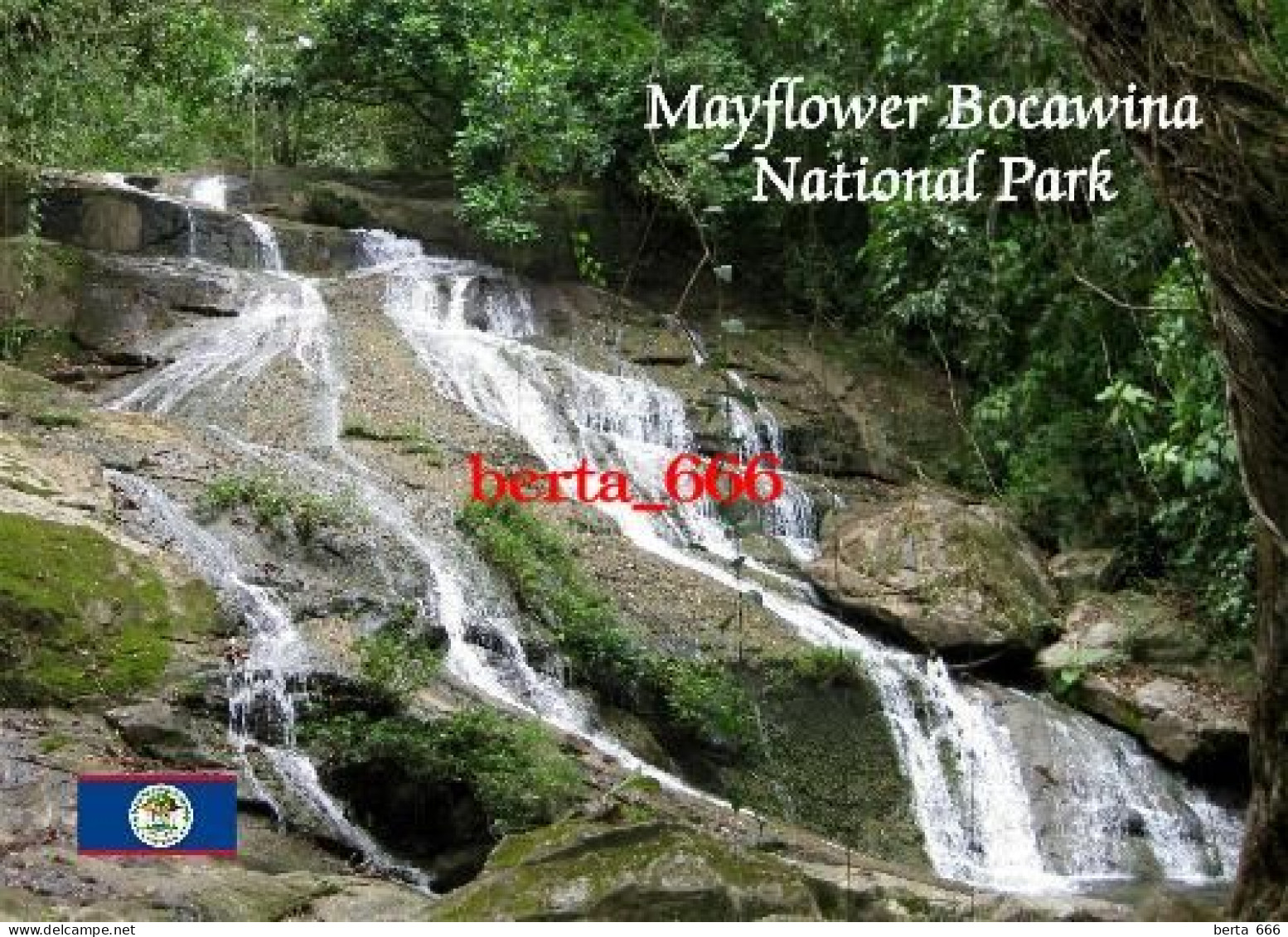 Belize Mayflower Bocawina National Park Waterfalls New Postcard - Belice