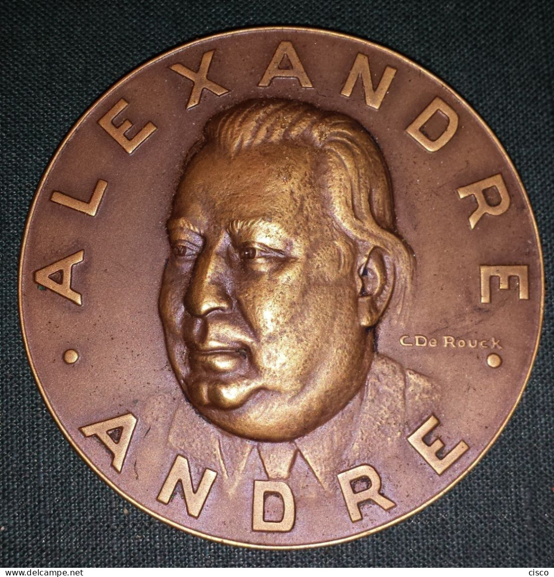 BELGIQUE Médaille Hommage à André Alexandre Président Des Artistes Du Hainaut 1958 Signée De Rouck - Royaux / De Noblesse