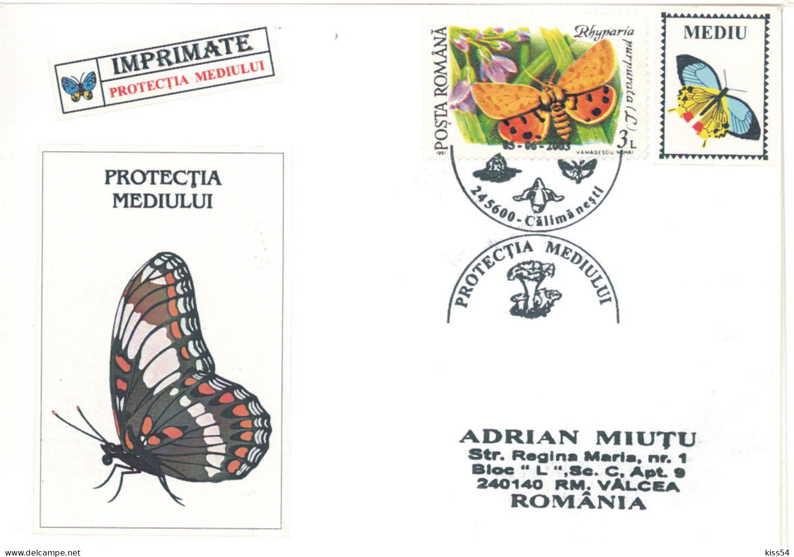 CV 29 - 636 BUTTERFLY, Romania - Cover - Used - 2003 - Covers & Documents