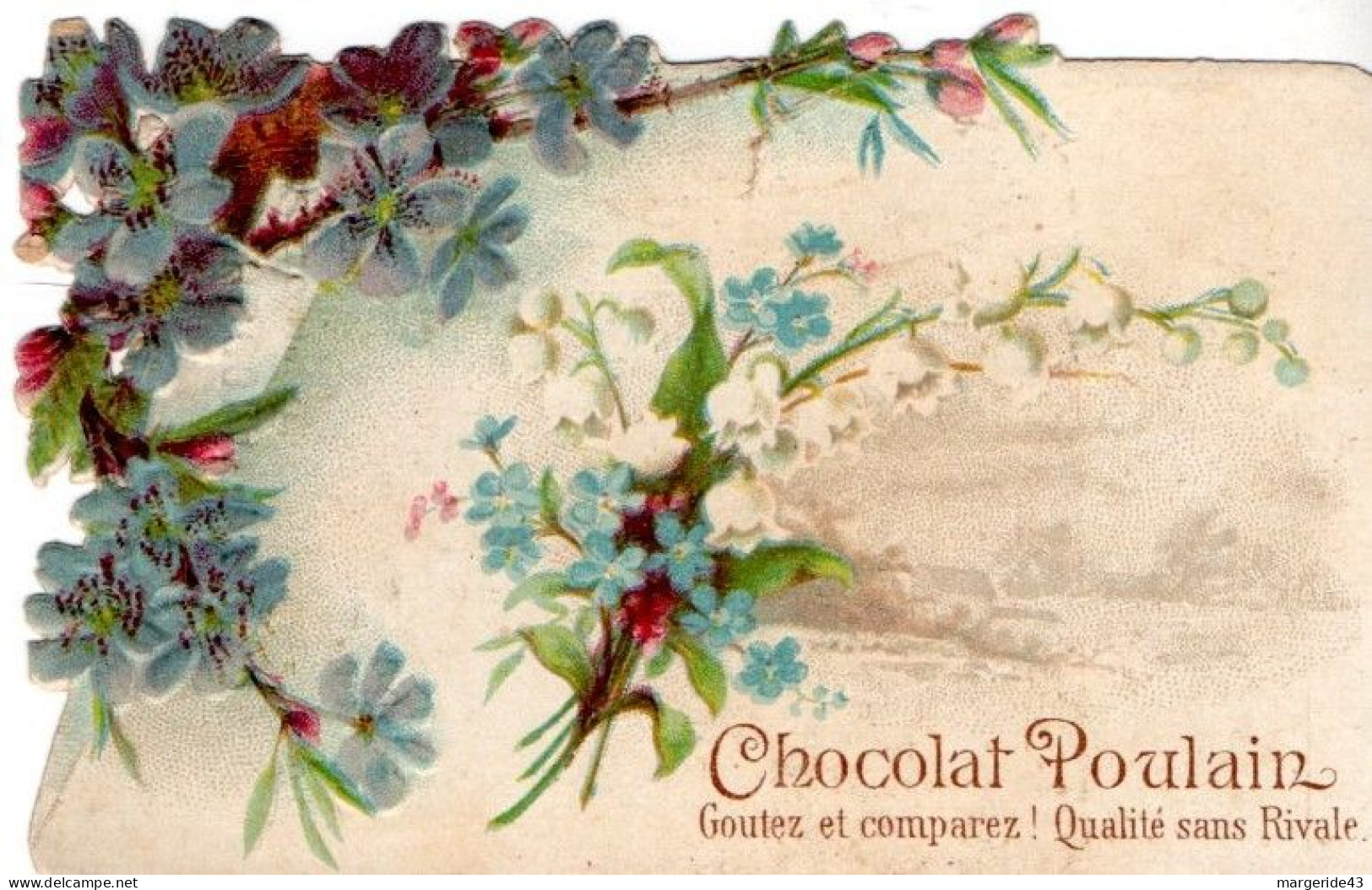 CHROMOS POULAIN - FLEURS SAUVAGES - Poulain