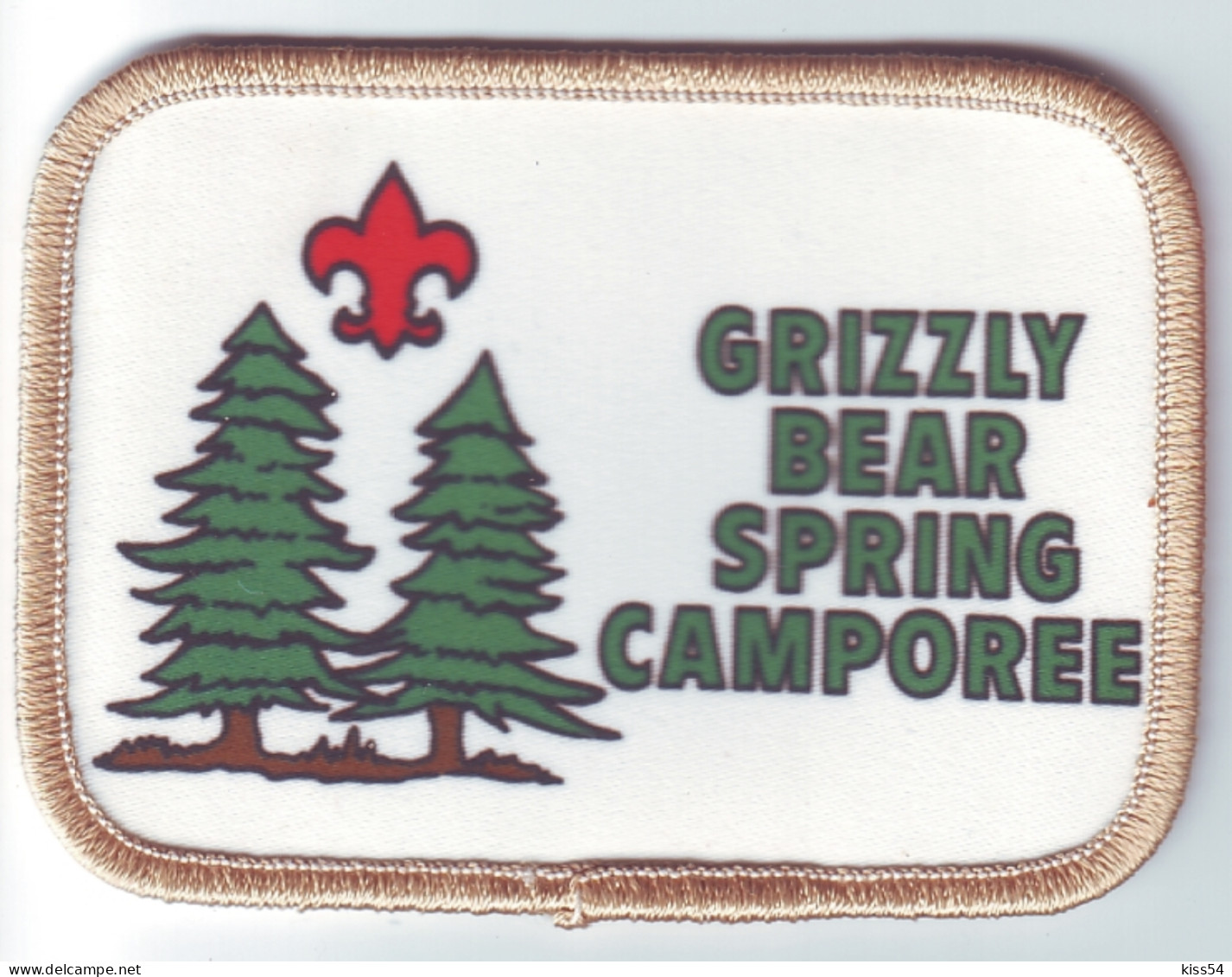 B 32 - 23 USA Scout Badge - CALIFORNIA, Grizzly Bear Spring - Movimiento Scout