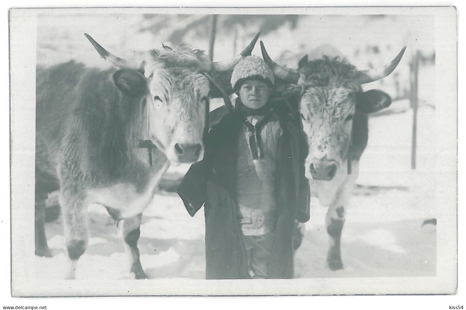 RO 68 - 13737 Ethnic Boy, COUNTRY LIFE, Romania - Old Postcard - Unused - 1916 - Rumänien