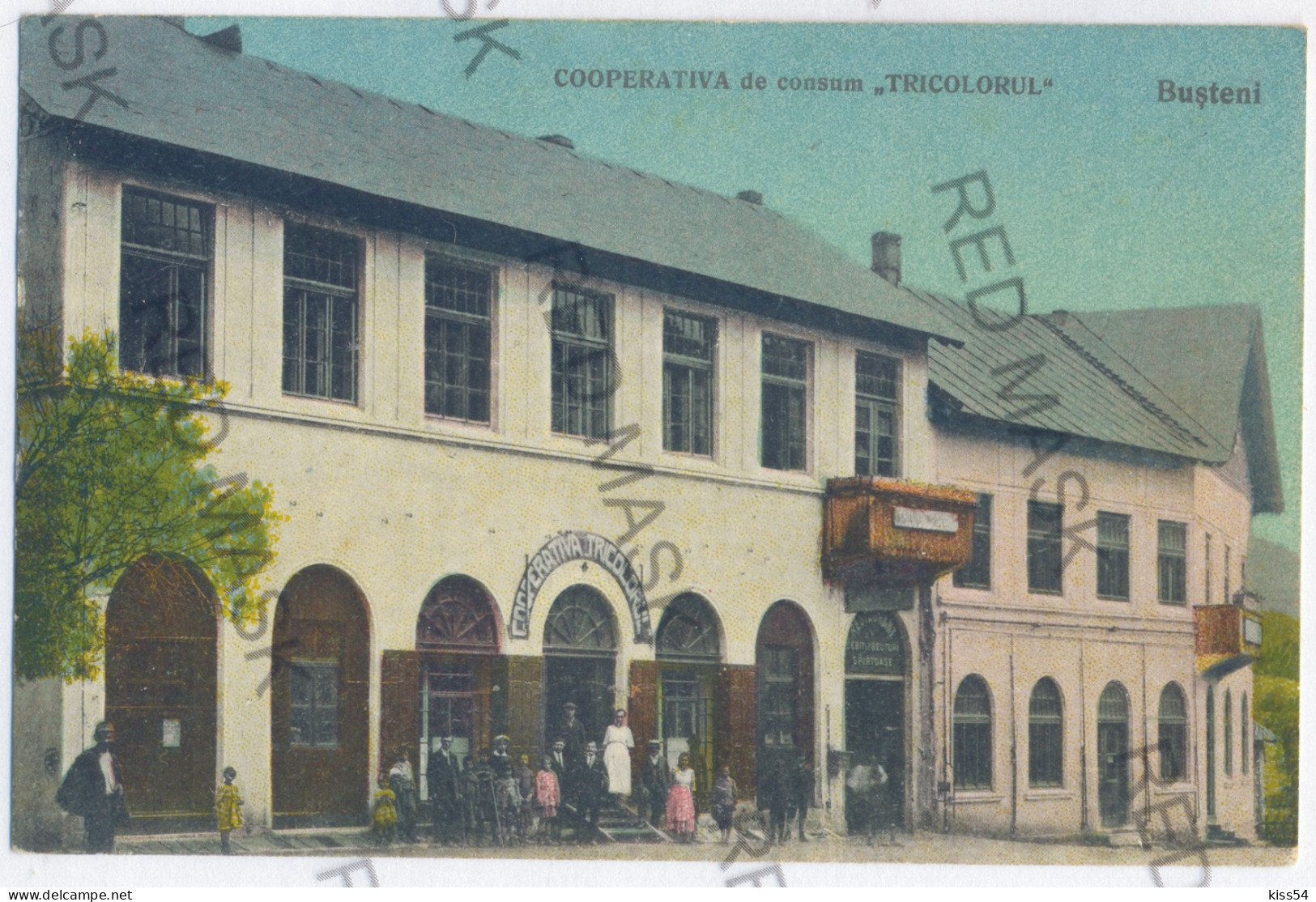 RO 68 - 11969 BUSTENI, Prahova, Store, Romania - Old Postcard - Unused - Rumänien