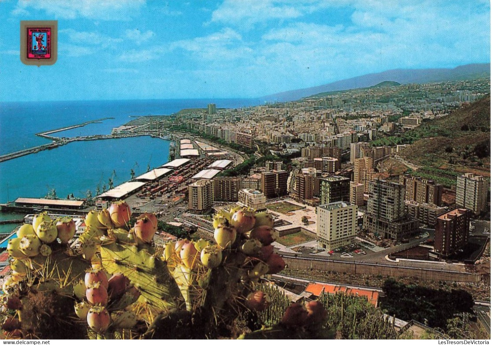 ESPAGNE - Santa Cruz De Tenerife - Vue Générale - Colorisé - Carte Postale - Tenerife
