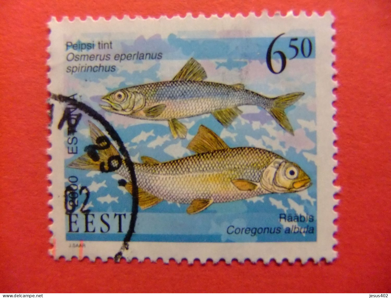 111 ESTONIA - ESTONIE - EESTI 2000 / FAUNA MARINA  Peces / YVERT 372 FU - Estland