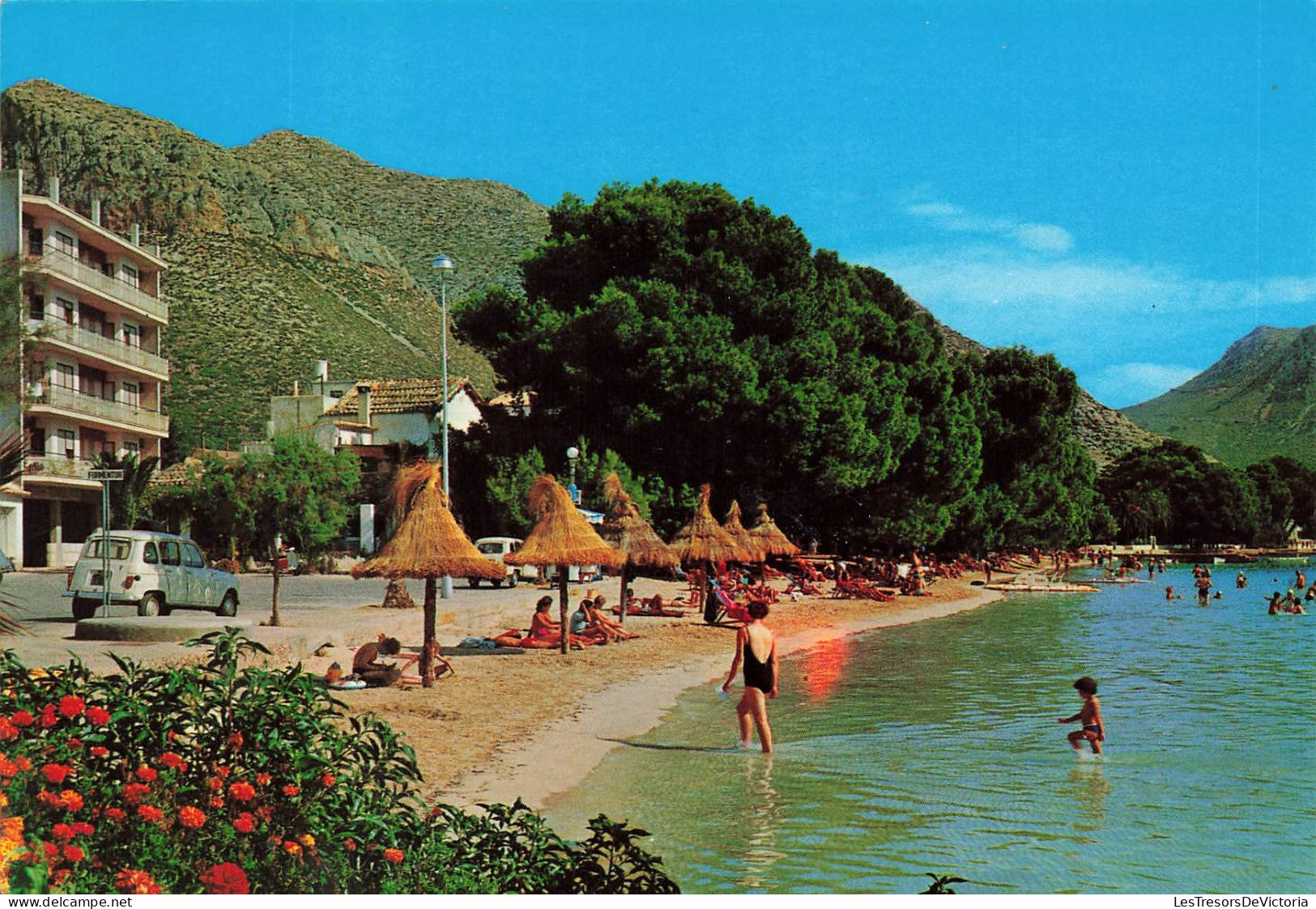 ESPAGNE - Mallorca - Puerto De Pollensa - Détail De La Plage - Carte Postale - Mallorca