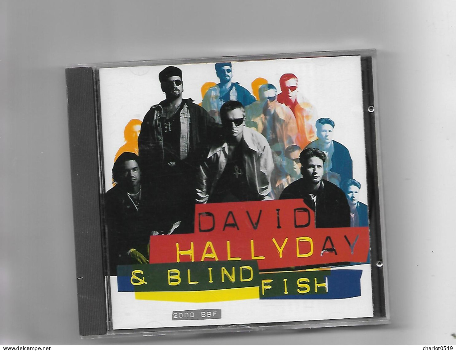 11 Titres David Hallyday Et Blind Fish - Other & Unclassified