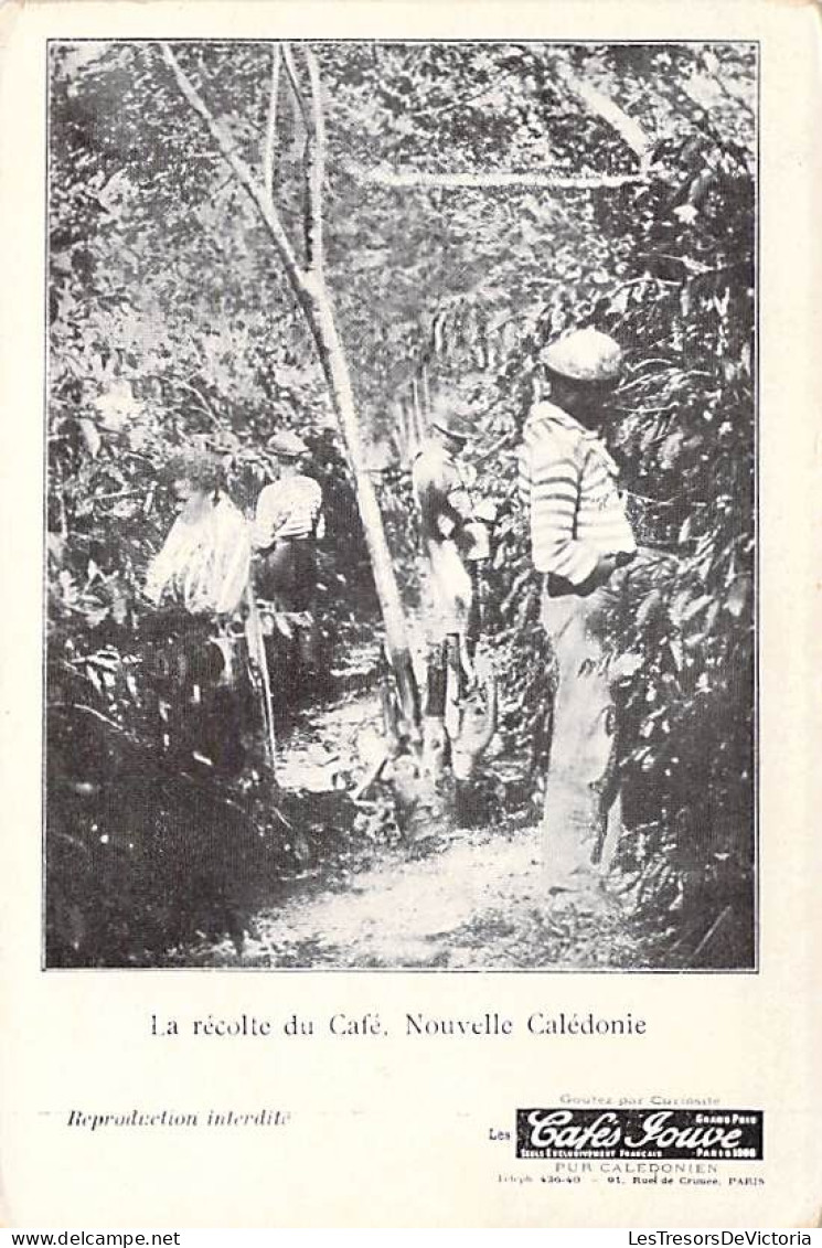 Nouvelle Calédonie - La Récolte Du Café - Animé - Carte Postale Ancienne - New Caledonia