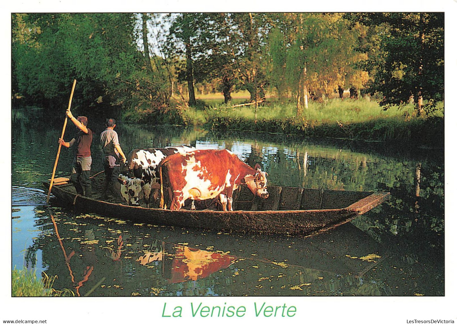 FRANCE - La Venise Verte - Barque - Hommes - Carte Postale - Sonstige & Ohne Zuordnung