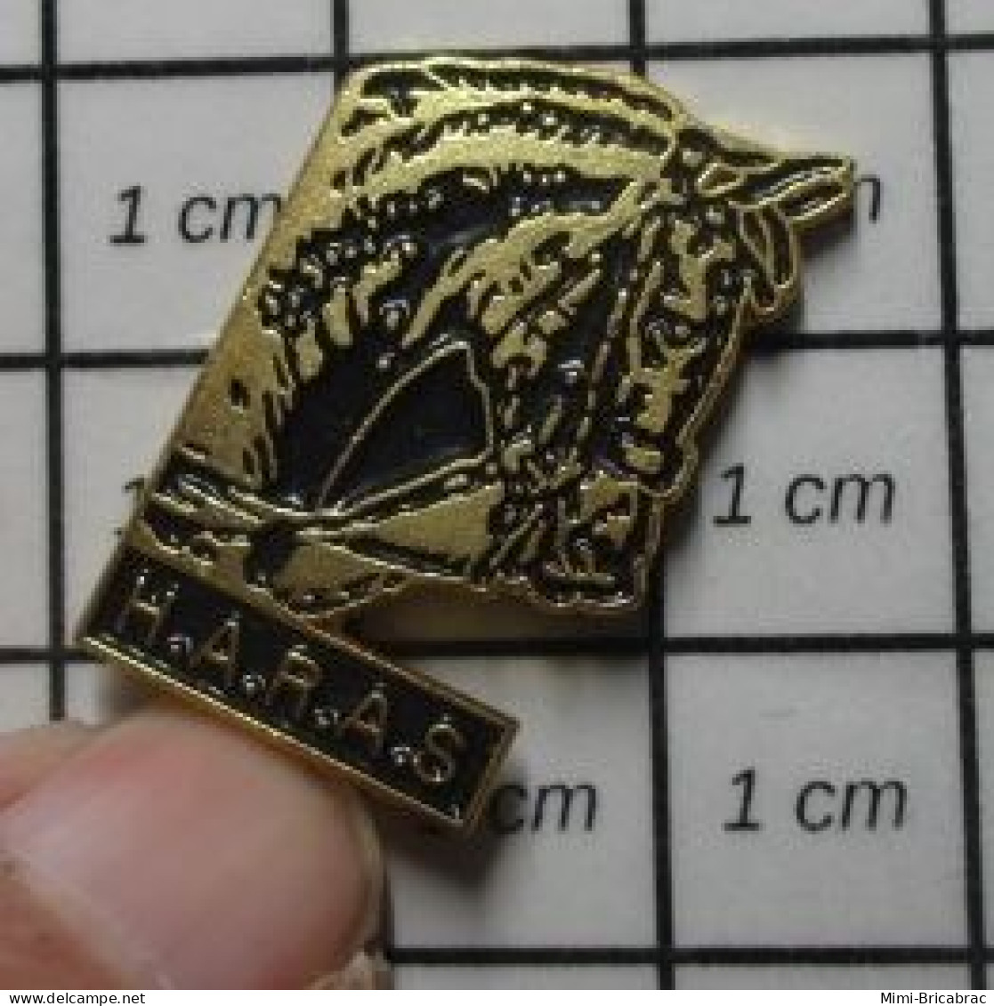 SP18 Pin's Pins / Beau Et Rare / ANIMAUX / TETE DE CHEVAL NOIR ET OR HARAS H.A.R.A.S. - Animals