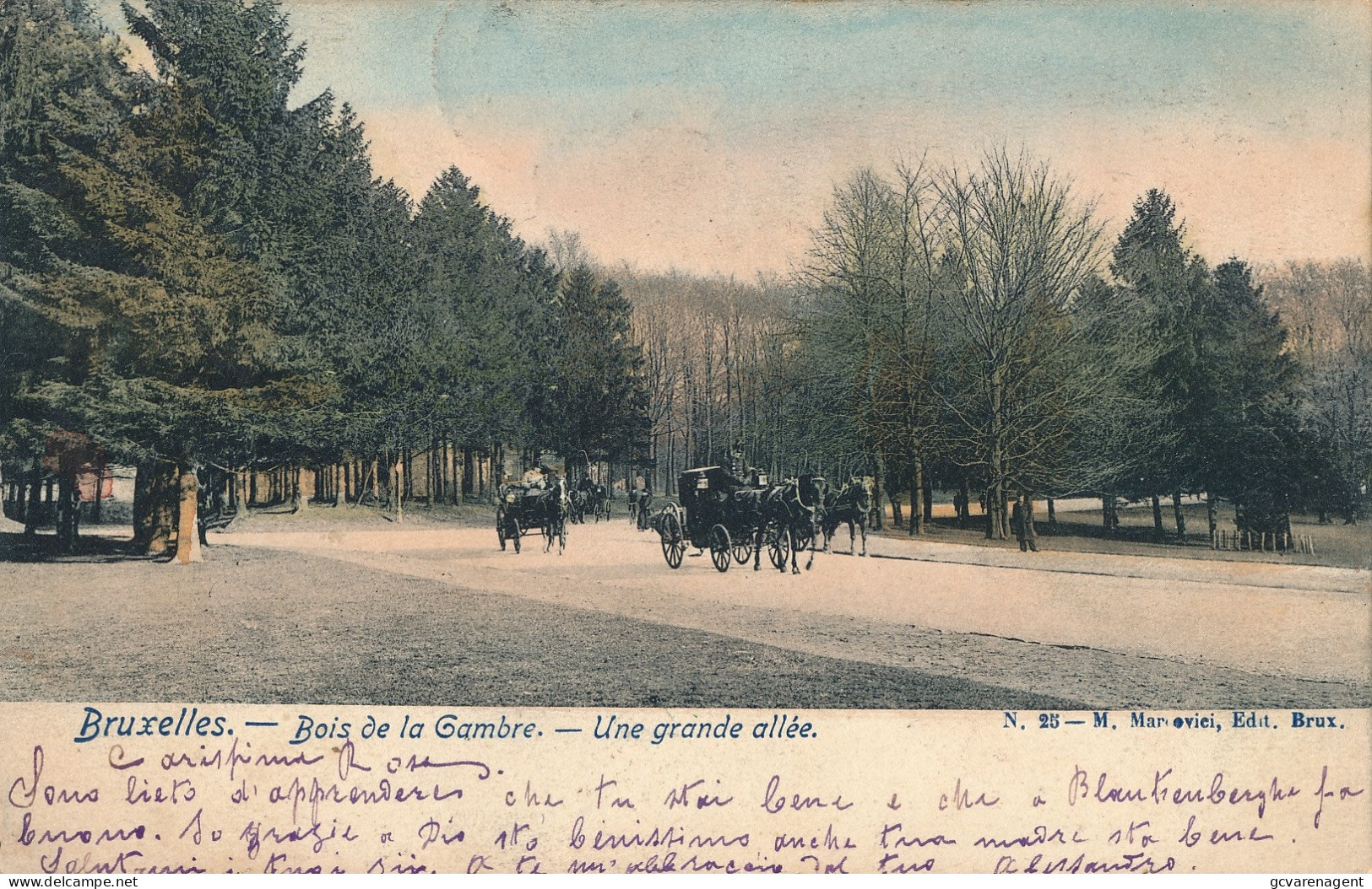 BRUXELLES  BOIS DE LA GAMBRE   UNE GRANDE ALLEE       2  AFBEELDINGEN - Forêts, Parcs, Jardins